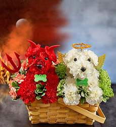 Devil Dog Angel Dog Davenport Florist - Same Day Flower Delivery - Flower Power 